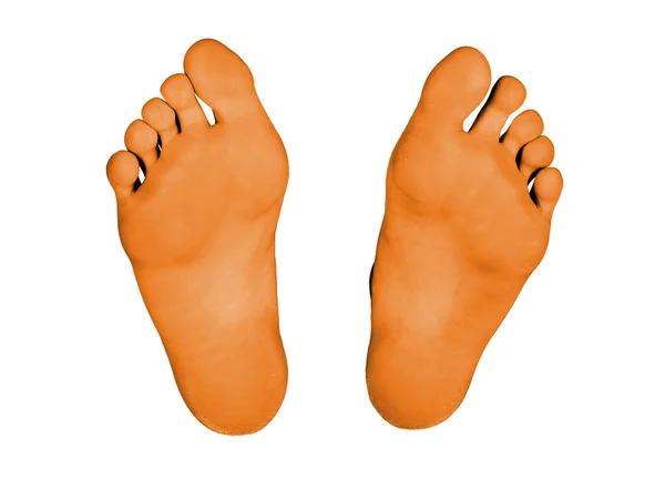 Ideal Feet of San Antonio: Expert Advice on Maintaining Healthy Feet